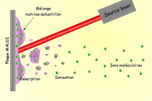 Матричная лазерная десорбционная ионизация, МАЛДИ (Matrix-Assisted Laser Desorption/Ionization, MALDI)